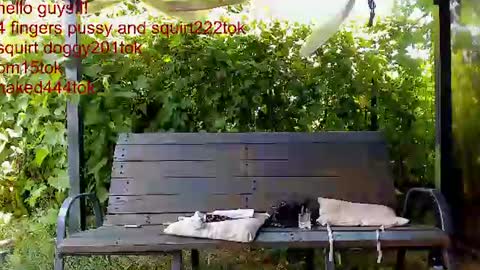 Snapshot of you_love_melisa chatting on 07.05.26 private on 18 per minute start private 500 tokensOnlyfans online show from 07.05.26