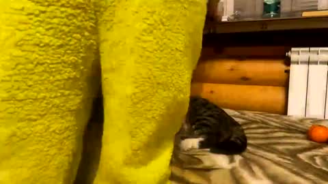 Fansly  online show from 12.31.24