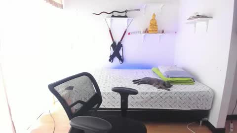 Tao online show from 02.26.26