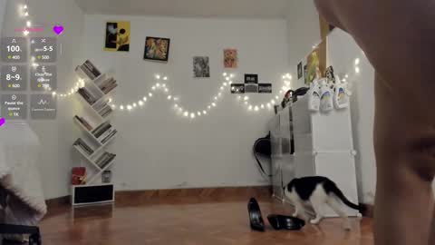 paola online show from 02.11.25