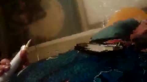 Z0RL0C online show from 06.02.26
