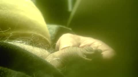 Snapshot of zaboski4 chatting on 02.26.26 zaboski4 online show from 02.26.26