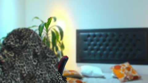 zachpri20 online show from 09.24.25