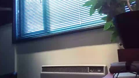 zalina2 online show from 02.13.26