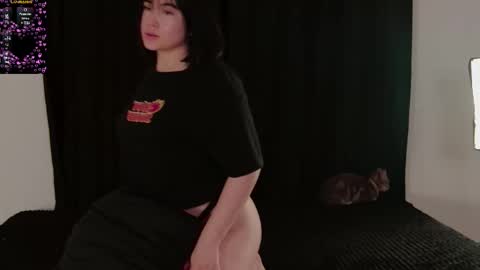 zamila online show from 02.13.26