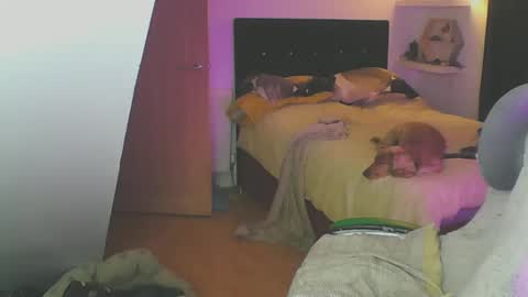 Zed online show from 01.19.25