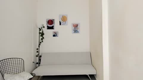 Zenith online show from 01.19.26