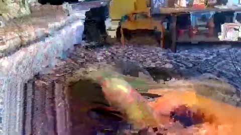 Snapshot of zerrannor chatting on 11.01.25 Zerr online show from 11.01.25