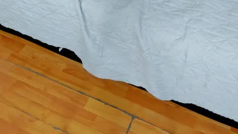 Snapshot of ziamiller chatting on 01.27.25 zia online show from 01.27.25