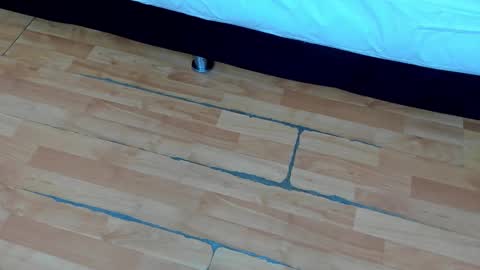 Snapshot of ziamiller chatting on 02.21.25 zia online show from 02.21.25