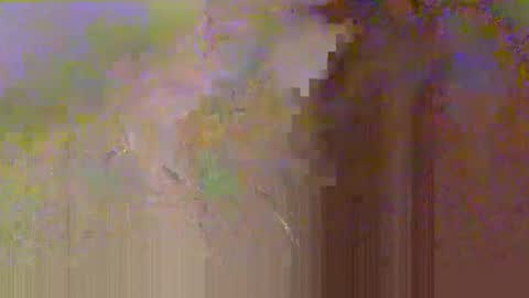 zobrythickock online show from 10.29.25