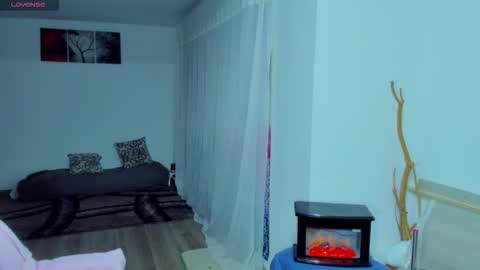 new count    online show from 11.06.25