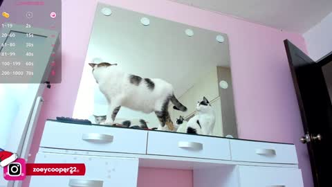 Snapshot of zoey_cooper chatting on 12.30.24 zoey Independent model online show from 12.30.24