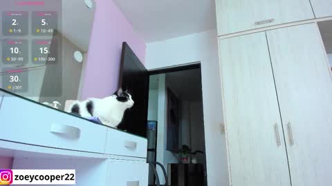 Snapshot of zoey_cooper chatting on 11.12.25 zoey Independent model online show from 11.12.25