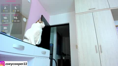 Snapshot of zoey_cooper chatting on 11.15.25 zoey Independent model online show from 11.15.25