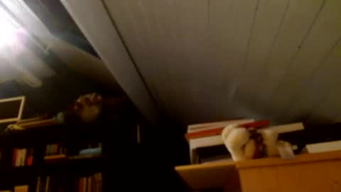 zolexthomas online show from 01.15.25