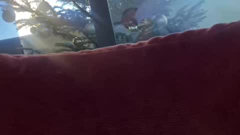 Snapshot of zoomdue chatting on 12.08.24 Velesk online show from 12.08.24