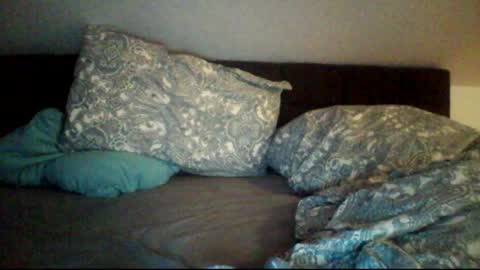 zubit online show from 11.04.25