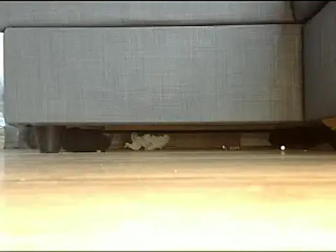 Snapshot of Squirtlady38 chatting on 02.13.25 Squirtlady38 online show from 02.13.25