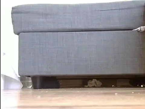 Snapshot of Squirtlady38 chatting on 03.20.25 Squirtlady38 online show from 03.20.25