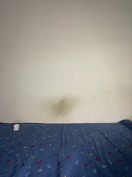 Snapshot of BandySL chatting on 12.13.24 BandySL online show from 12.13.24