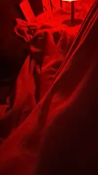 Snapshot of BirdyOfficial__ chatting on 11.07.25 BirdyOfficial online show from 11.07.25