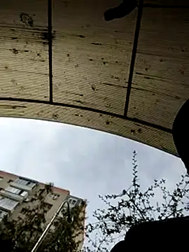 J0nyhson online show from 03.23.25