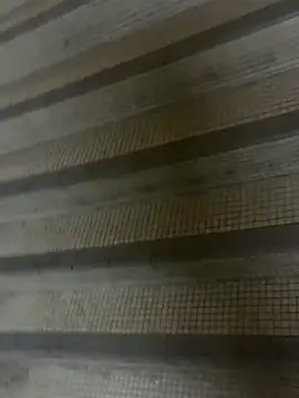 wSilEliaXm online show from 09.16.25