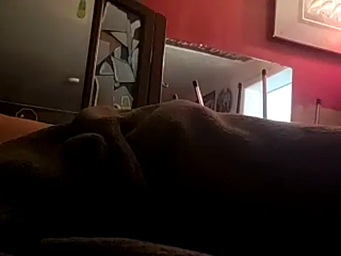 JRock69nKzoo online show from 11.12.25