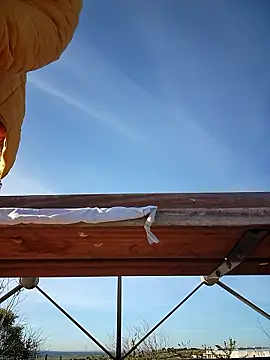 bellapaty online show from 03.30.26