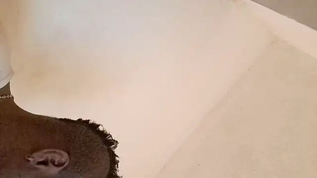 royblackbigpvt online show from 03.25.26