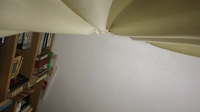 curiosillo83 online show from 03.23.26