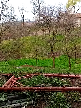 Medelin92 online show from 04.03.26