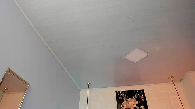 Snapshot of ayshel__ chatting on 02.18.25 ayshel online show from 02.18.25