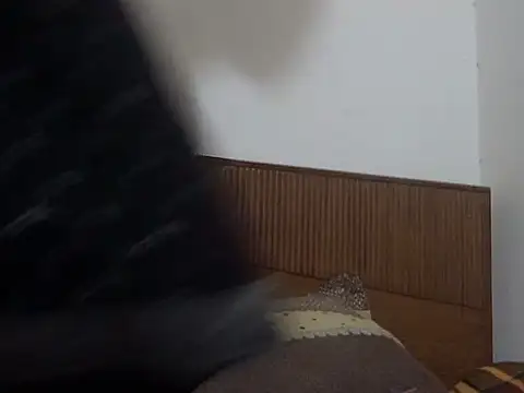 shekira99 online show from 03.01.26