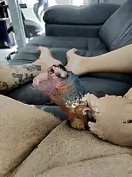 pete 97 online show from 09.21.25