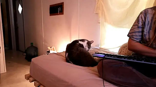 xxpixeyxx online show from 04.21.26