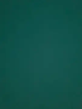 Ruby bear online show from 03.08.25