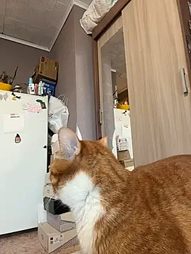 AmmyHot online show from 01.13.26