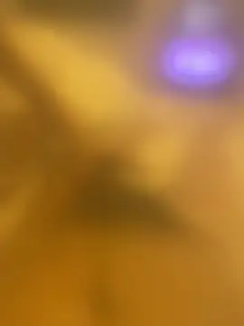 cheesecream online show from 12.20.24