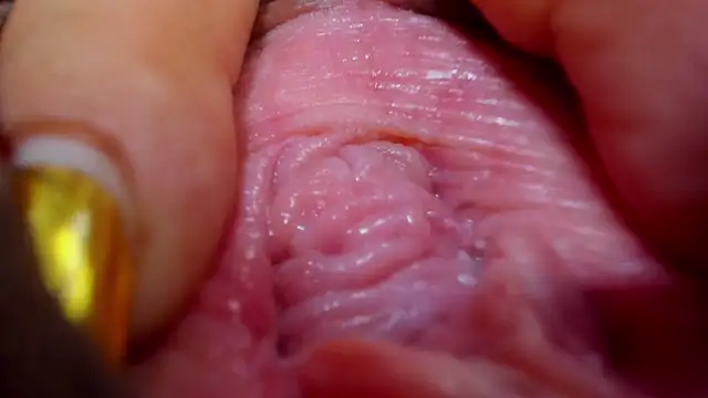 tatiana big ass boobs online show from 02.26.25