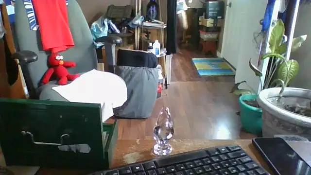 Daremeknot online show from 12.30.24