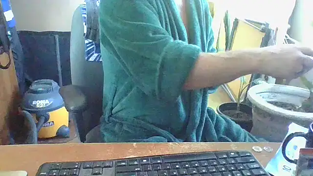 Daremeknot online show from 02.01.25