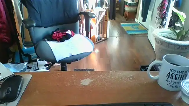 Daremeknot online show from 10.02.25