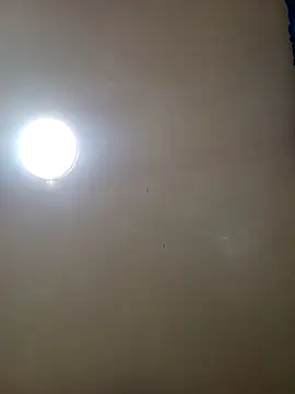 TrainedFinder5 online show from 11.14.25