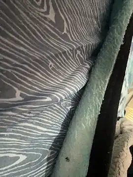 Snapshot of Followthepiper chatting on 11.10.25 Followthepiper online show from 11.10.25