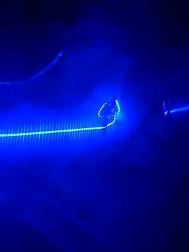 Snapshot of Followthepiper chatting on 11.25.25 Followthepiper online show from 11.25.25