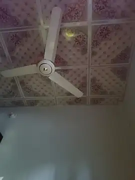 Snapshot of Dil-Ka-Radhika chatting on 11.29.25 Dil-Ka-Radhika online show from 11.29.25