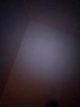 Treemandude online show from 01.06.26