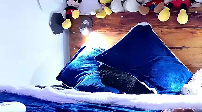 enzo herrera01 online show from 03.01.25